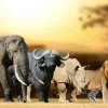 Best Grote Afrikaanse dieren fotobehang Dieren
