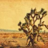 Best Grote cactus in een woestijnlandschap fotobehang Bloemen