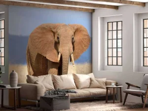Outlet Grote olifant in hoog gras fotobehang Tienerkamer