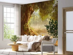 Discount Grote oude olijfboom fotobehang Bloemen