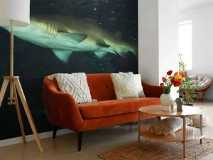 Best Grote witte haai in een aquarium fotobehang Tienerkamer | Dieren