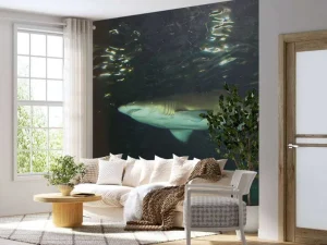Best Grote witte haai in een aquarium fotobehang Tienerkamer | Dieren