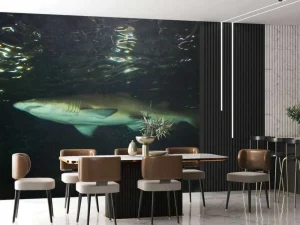 Best Grote witte haai in een aquarium fotobehang Tienerkamer | Dieren
