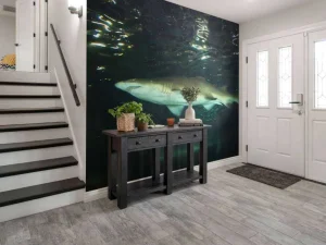 Best Grote witte haai in een aquarium fotobehang Tienerkamer | Dieren
