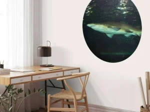 Best Grote witte haai in een aquarium fotobehang Tienerkamer | Dieren