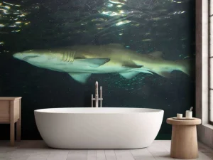 Best Grote witte haai in een aquarium fotobehang Tienerkamer | Dieren