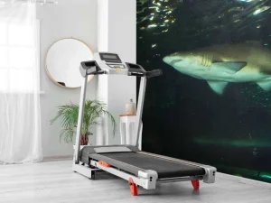 Best Grote witte haai in een aquarium fotobehang Tienerkamer | Dieren