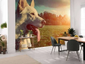 Fashion Grote witte hond bij zonsondergang fotobehang Dieren