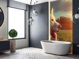 Fashion Grote witte hond bij zonsondergang fotobehang Dieren