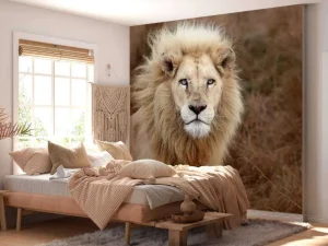Online Harige Leeuw in de natuur fotobehang Dieren