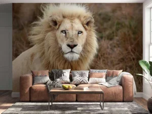 Online Harige Leeuw in de natuur fotobehang Dieren