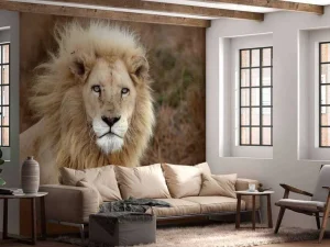 Online Harige Leeuw in de natuur fotobehang Dieren
