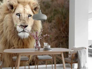 Online Harige Leeuw in de natuur fotobehang Dieren