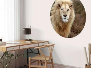 Online Harige Leeuw in de natuur fotobehang Dieren