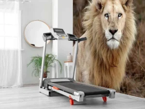 Online Harige Leeuw in de natuur fotobehang Dieren