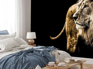 New Harige leeuw met een zwarte achtergrond fotobehang Slaapkamer | Dieren