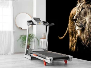 New Harige leeuw met een zwarte achtergrond fotobehang Slaapkamer | Dieren