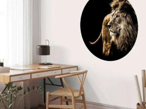 New Harige leeuw met een zwarte achtergrond fotobehang Slaapkamer | Dieren