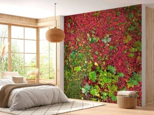 Outlet Herfst Bladeren fotobehang Bloemen