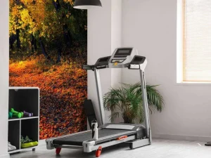 Best Herfstbos met Bomen en Bladeren fotobehang Bloemen