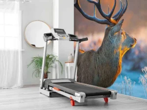 Discount Hert met Wazige achtergrond fotobehang Dieren