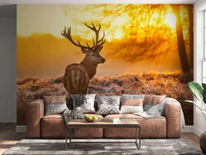 Sale Hert met Zonsondergang fotobehang Dieren