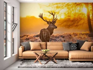 Sale Hert met Zonsondergang fotobehang Dieren
