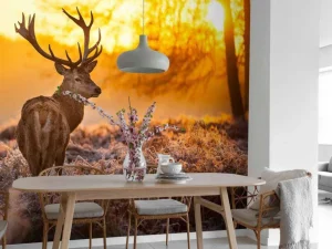 Sale Hert met Zonsondergang fotobehang Dieren