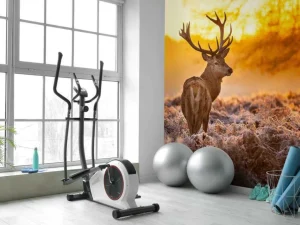Sale Hert met Zonsondergang fotobehang Dieren