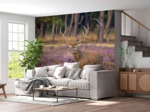 New Hert op de Veluwe fotobehang Dieren | Bloemen