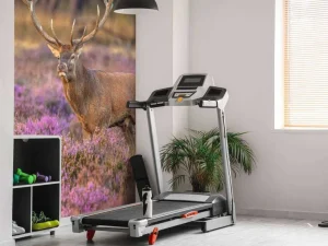 New Hert op de Veluwe fotobehang Dieren | Bloemen
