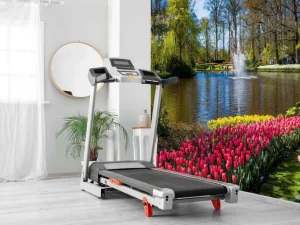 Clearance Het Keukenhof park met tulpen fotobehang Steden | Architectuur