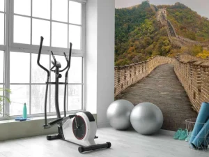 Online Het uitzicht vanaf de Chinese Muur fotobehang Architectuur