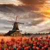 Clearance Hollands landschap met molen bij zonsondergang fotobehang Steden | Architectuur