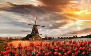 Clearance Hollands landschap met molen bij zonsondergang fotobehang Steden | Architectuur
