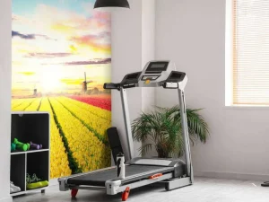 Discount Hollands tulpenveld fotobehang Steden | Architectuur
