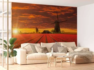 Best Hollands tulpenveld onder een rode lucht fotobehang Steden | Architectuur