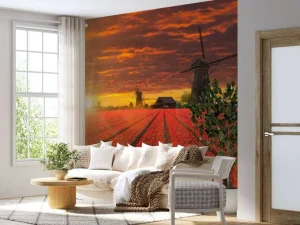 Best Hollands tulpenveld onder een rode lucht fotobehang Steden | Architectuur