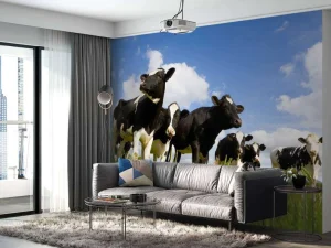 Discount Holstein Koeien in de weide fotobehang Dieren