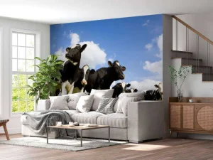 Discount Holstein Koeien in de weide fotobehang Dieren