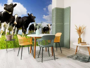 Discount Holstein Koeien in de weide fotobehang Dieren