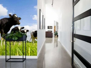Discount Holstein Koeien in de weide fotobehang Dieren