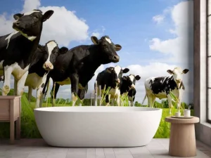 Discount Holstein Koeien in de weide fotobehang Dieren