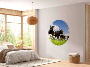 Discount Holstein Koeien in de weide fotobehang Dieren