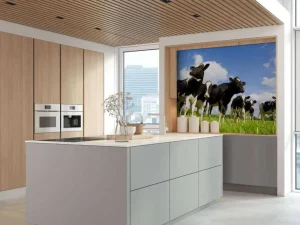 Discount Holstein Koeien in de weide fotobehang Dieren