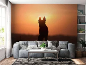 Best Hond bij zonsondergang fotobehang Dieren