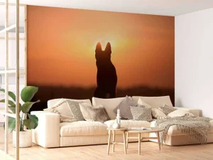 Best Hond bij zonsondergang fotobehang Dieren