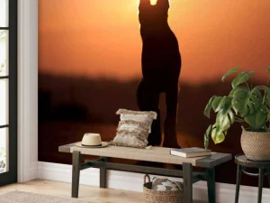 Best Hond bij zonsondergang fotobehang Dieren