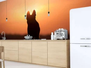 Best Hond bij zonsondergang fotobehang Dieren