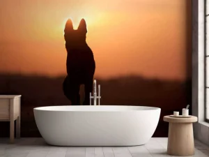 Best Hond bij zonsondergang fotobehang Dieren